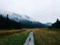 Mgliste Tatry, idealne tatry szlaki na deszczowe dni. Mokra ścieżka prowadzi przez łąkę do lasu, gdzie chmury otulają szczyty.