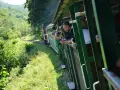 Wagoniki kolejki bieszczadzkiej pędzą przez zielone wzgórza. Ludzie wychylają się z okien, by podziwiać malowniczą trasę.