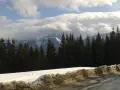Zimowe hale w Tatrach, gęsty las świerkowy i ośnieżone szczyty pod chmurami.