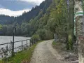 Droga w lesie, obok Dunajca, prowadzi do **Sokolicy szlak z Krościenka**. Zielony szlak turystyczny na drzewie.