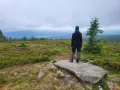 Osoba na skale podziwia rozległy krajobraz. W oddali widać góry i lasy, a przed nią rozciąga się **wysoka kopa szlaki** porośnięta wrzosami i młodymi drzewkami.