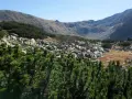 Gęsta kosodrzewina w górach, otaczająca skaliste zbocza i kamieniste dno doliny.