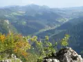Widok na Pieniny, gdzie można zdobyć Trzy Korony i zobaczyć sokolicę w jeden dzień.