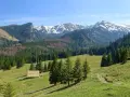 Łagodne zbocza i ścieżki w Tatrach, idealne na spokojne spacery. Zakopane trasy dla seniorów oferują piękne widoki i relaks na łonie natury.