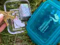 Złoty model Wieży Eiffla w pojemniku, obok niebieskiego pojemnika z napisem "Official Geocaching". To jest geocaching co to za zabawa!