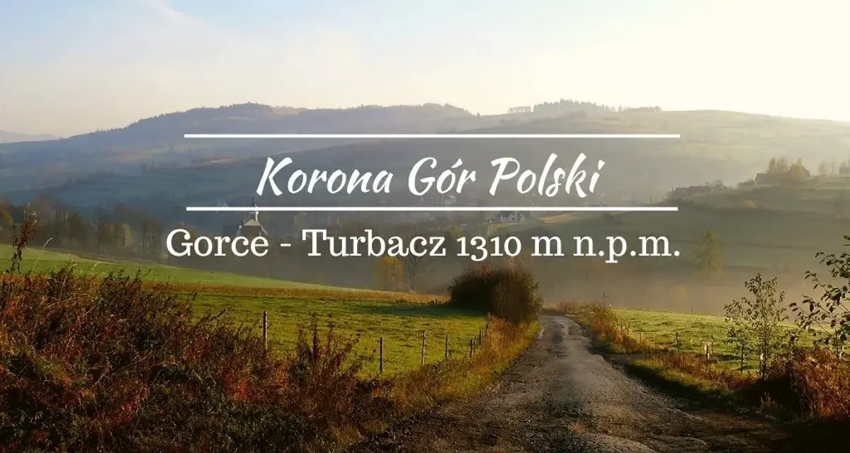 Droga na Turbacz, szczyt w Gorcach (1310 m n.p.m.), część Korony Gór Polski. Ile się idzie? Zależy od kondycji!