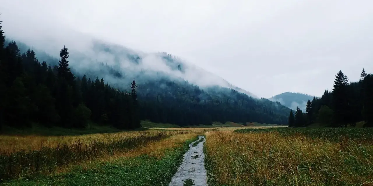 Mgliste Tatry, idealne tatry szlaki na deszczowe dni. Mokra ścieżka prowadzi przez łąkę do lasu, gdzie chmury otulają szczyty.
