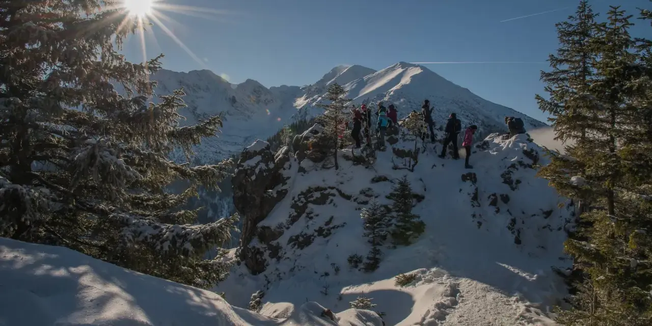 Grupa turystów na ośnieżonym szczycie. Słońce przebija się przez gałęzie świerków. Tatry zimą dla średniozaawansowanych.
