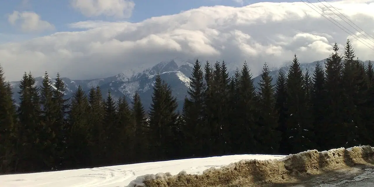 Zimowe hale w Tatrach, gęsty las świerkowy i ośnieżone szczyty pod chmurami.