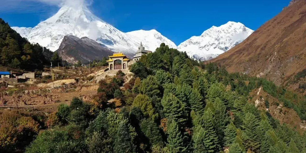 Wzgórza porośnięte sosnami, buddyjska świątynia i ośnieżone szczyty Himalajów podczas Manaslu Circuit Trek.