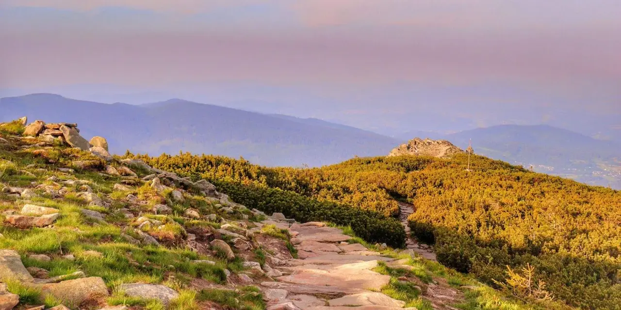 Kamienista ścieżka prowadzi przez trawiaste zbocze porośnięte kosodrzewiną ku szczytowi Babiej Góry z Krowiarek.