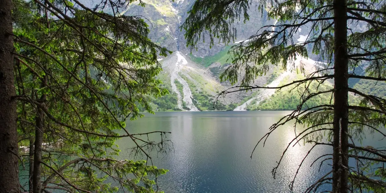 Spokojne Morskie Oko latem, otoczone zielenią drzew i majestatycznymi górami.