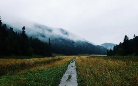 Mgliste Tatry, idealne tatry szlaki na deszczowe dni. Mokra ścieżka prowadzi przez łąkę do lasu, gdzie chmury otulają szczyty.