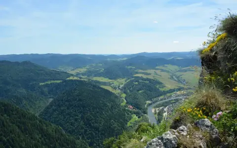 Widok z góry na dolinę Dunajca i malownicze, zielone wzgórza. To właśnie tu znajdują się najniższe góry w Polsce, Pieniny, oferujące zapierające dech w piersiach krajobrazy.