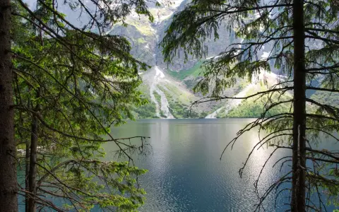 Spokojne Morskie Oko latem, otoczone zielenią drzew i majestatycznymi górami.