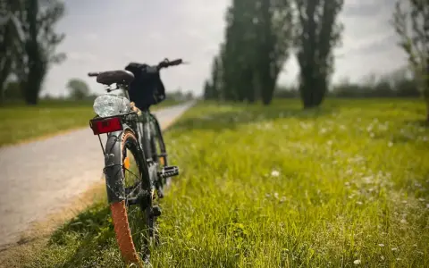 Rower na poboczu ścieżki, gotowy na przygodę. Droga Pienińska rowerem czeka, by odkryć jej piękno.