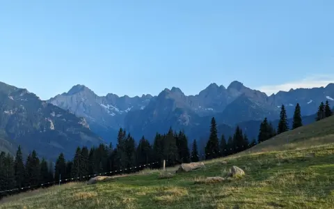 Widok na gęsią szyję Rusinową Polanę z pasmem górskim w tle.