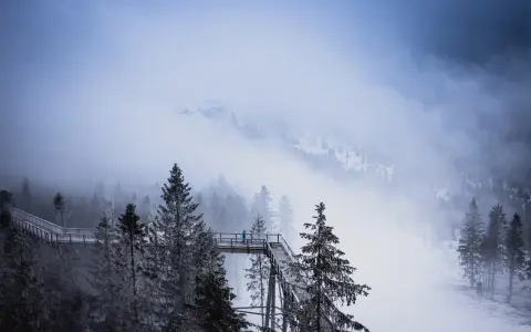 Spacer po koronach drzew w Bachledce, zimowa mgła otula las, samotna postać na drewnianej kładce.
