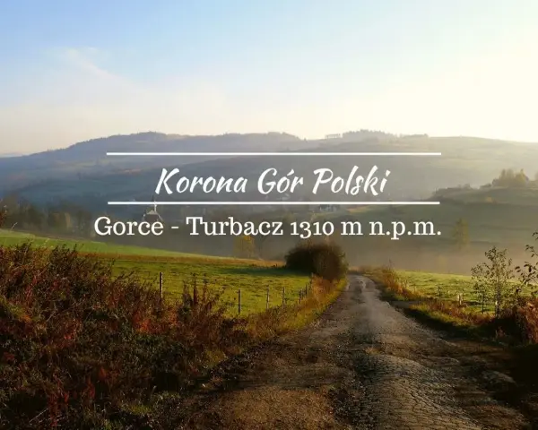 Droga na Turbacz, szczyt w Gorcach (1310 m n.p.m.), część Korony Gór Polski. Ile się idzie? Zależy od kondycji!