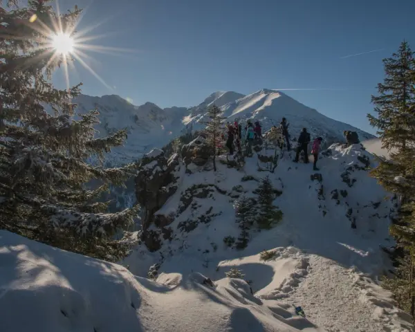 Grupa turystów na ośnieżonym szczycie. Słońce przebija się przez gałęzie świerków. Tatry zimą dla średniozaawansowanych.