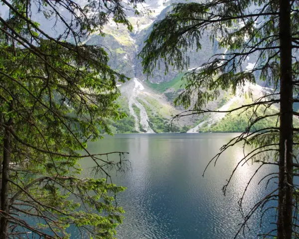 Spokojne Morskie Oko latem, otoczone zielenią drzew i majestatycznymi górami.
