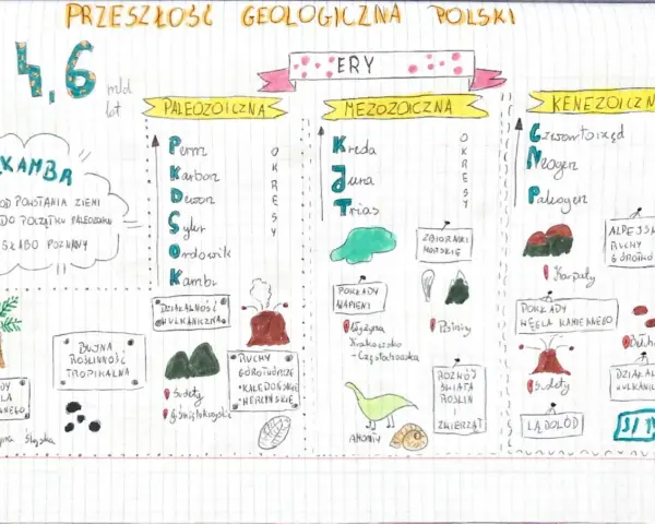 Jak powstały Tatry? Mapa przedstawia dzieje Ziemi, od prekambru po kenozoik, z uwzględnieniem ruchów górotwórczych i wulkanicznych.