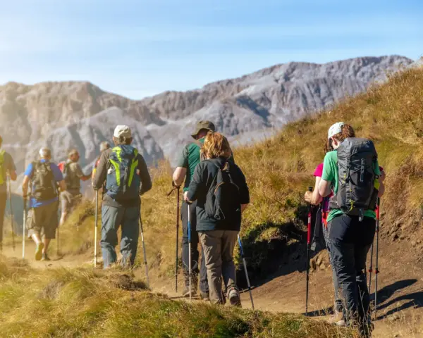 Grupa osób wyruszyła na wędrówkę. Wszyscy mają plecaki i kije do nordic walking, przemierzając górski szlak.