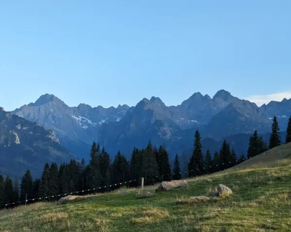 Widok na gęsią szyję Rusinową Polanę z pasmem górskim w tle.