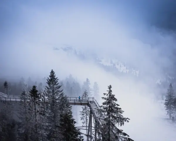 Spacer po koronach drzew w Bachledce, zimowa mgła otula las, samotna postać na drewnianej kładce.