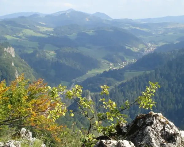 Widok na Pieniny, gdzie można zdobyć Trzy Korony i zobaczyć sokolicę w jeden dzień.