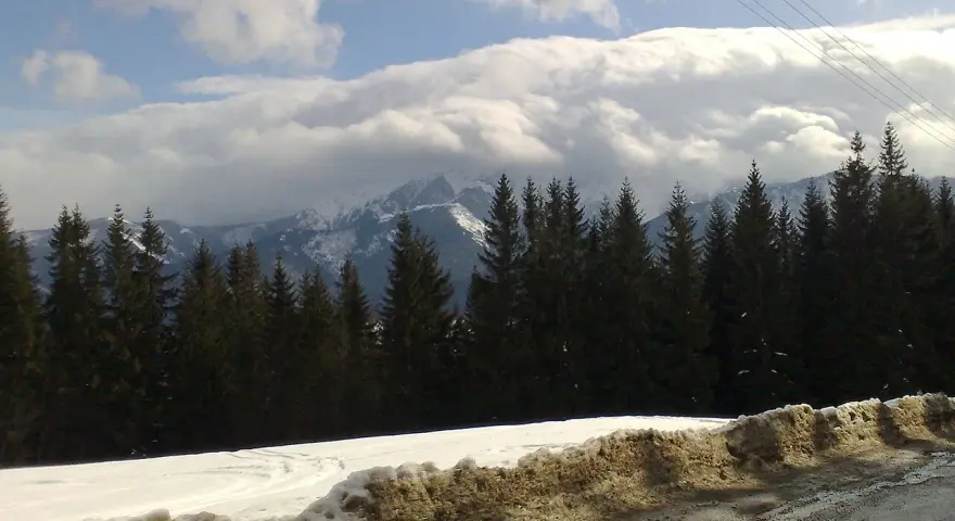 Zimowe hale w Tatrach, gęsty las świerkowy i ośnieżone szczyty pod chmurami.