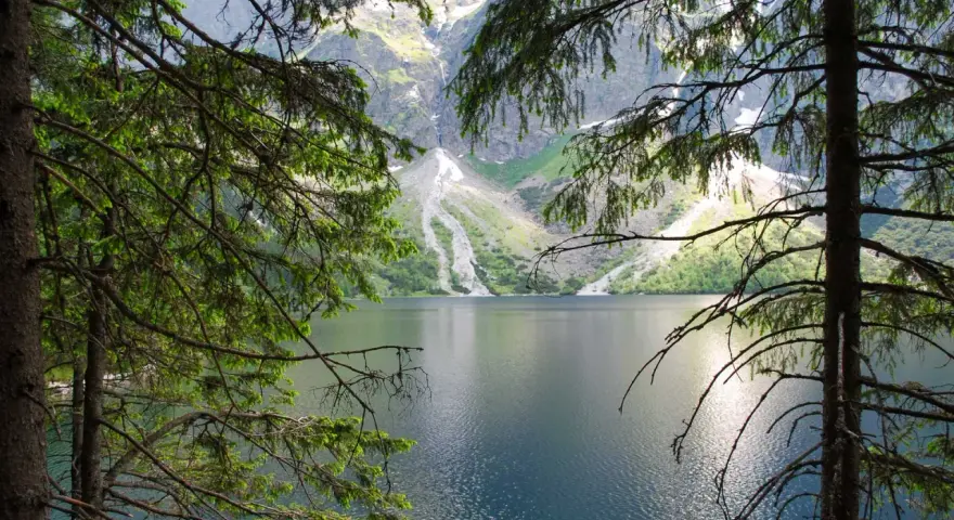 Spokojne Morskie Oko latem, otoczone zielenią drzew i majestatycznymi górami.