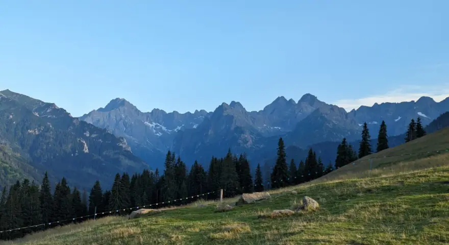Widok na gęsią szyję Rusinową Polanę z pasmem górskim w tle.