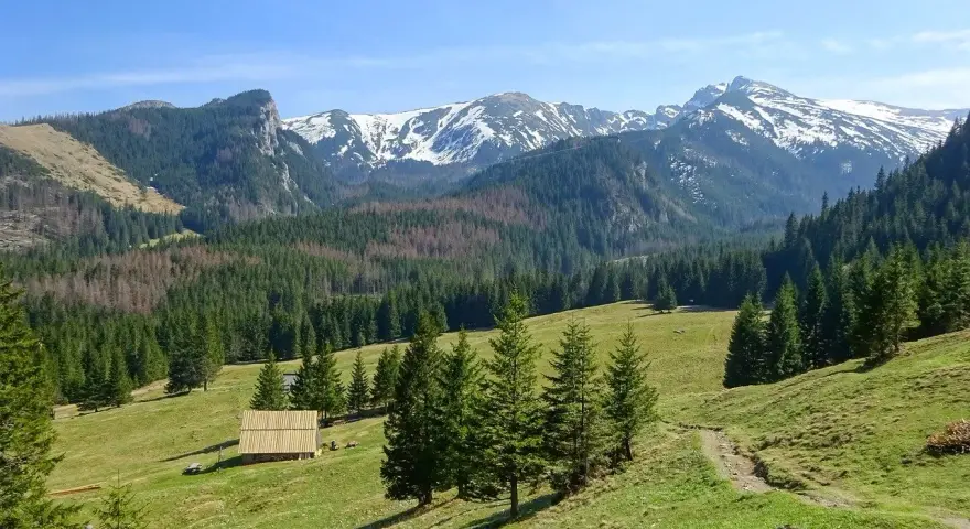Łagodne zbocza i ścieżki w Tatrach, idealne na spokojne spacery. Zakopane trasy dla seniorów oferują piękne widoki i relaks na łonie natury.
