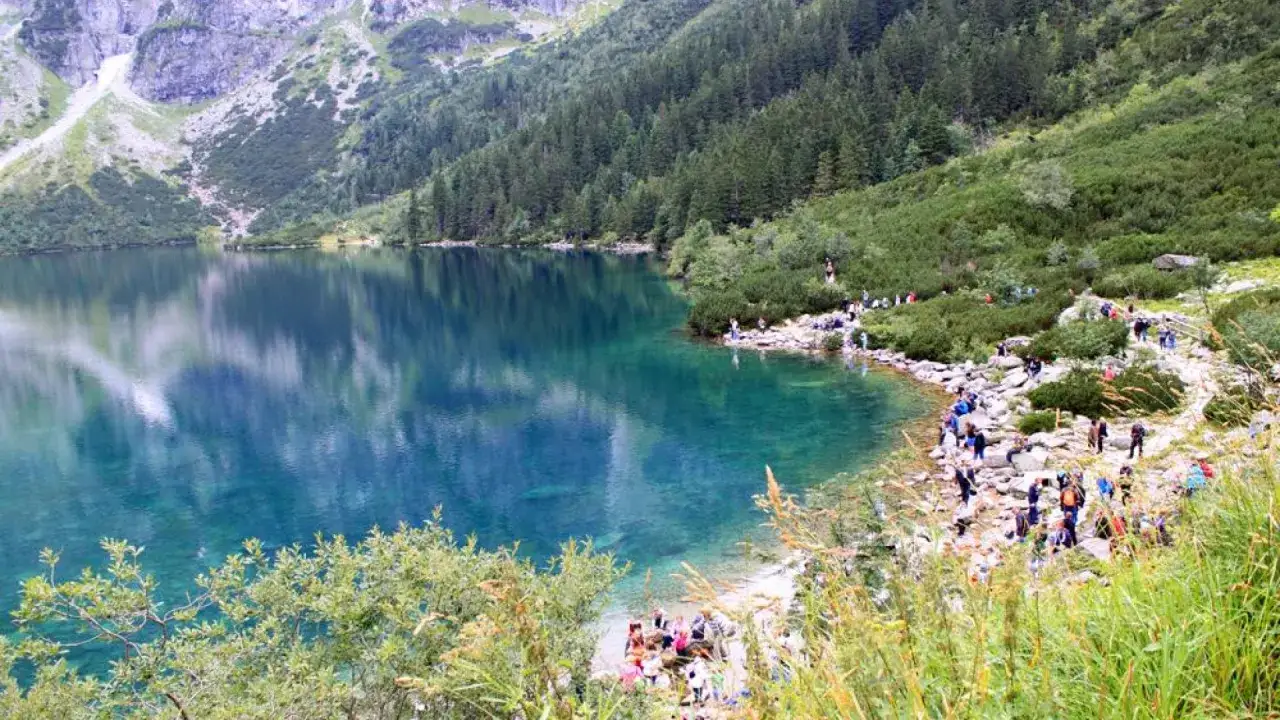 Letnie Morskie Oko w Tatrach. Turkusowa woda odbija g&oacute;ry i las. Brzeg jeziora pełen spacerowicz&oacute;w.