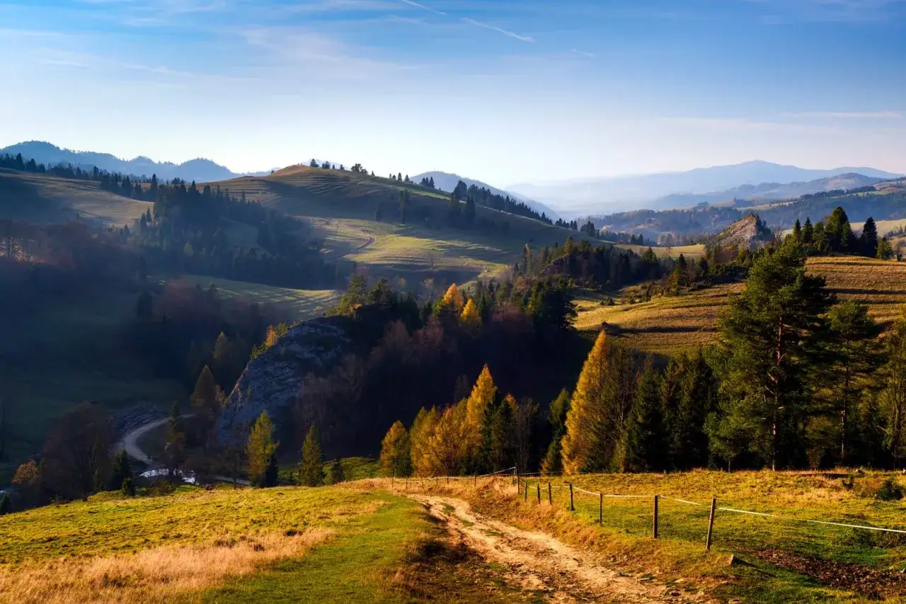 Malowniczy krajobraz jesienny w okolicach Białej Wody, Szczawnica. Złote liście drzew i zielone wzgórza w promieniach słońca.
