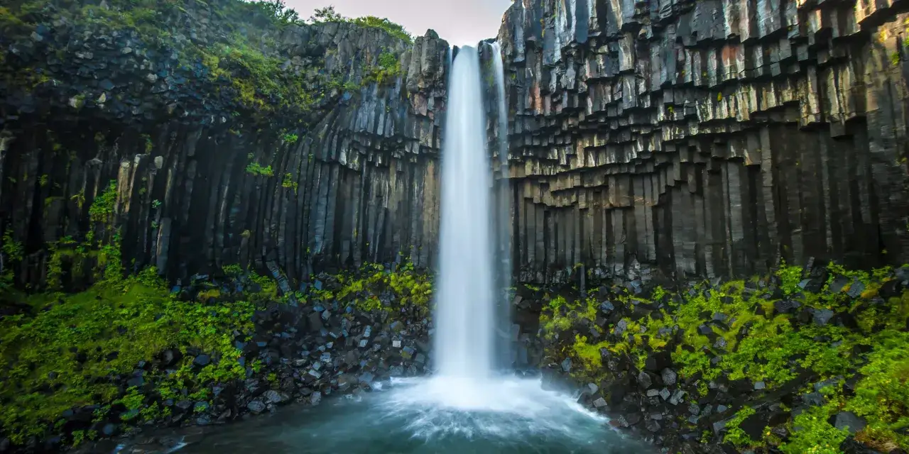 Wodospad Svartifoss, najpiękniejszy wodospad, spada po bazaltowych kolumnach, otoczony zielenią.
