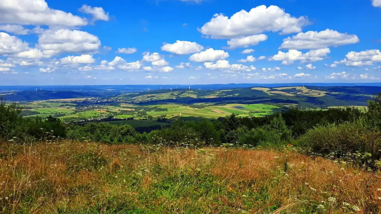 Widok z przełęczy pod Tokarnią na falujące wzgórza, pola i lasy, z wiatrakami na horyzoncie.