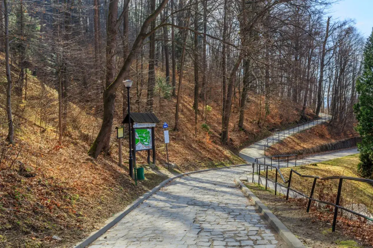 Kamienista ścieżka w lesie prowadzi pod górę. Ile się idzie, by dotrzeć na szczyt?
