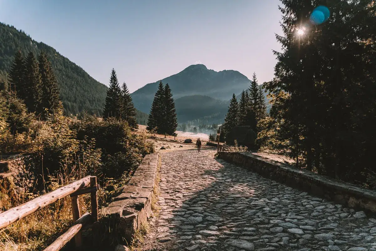 Kamienista droga w Dolinie Chochołowskiej, Zakopane. W oddali góry i lasy, na pierwszym planie samotny turysta.