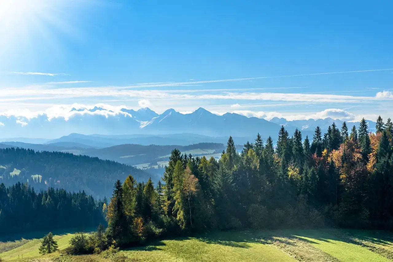 Malowniczy widok na Tatry, idealny na jednodniowe zakopane atrakcje. Las i łąki w jesiennych barwach.