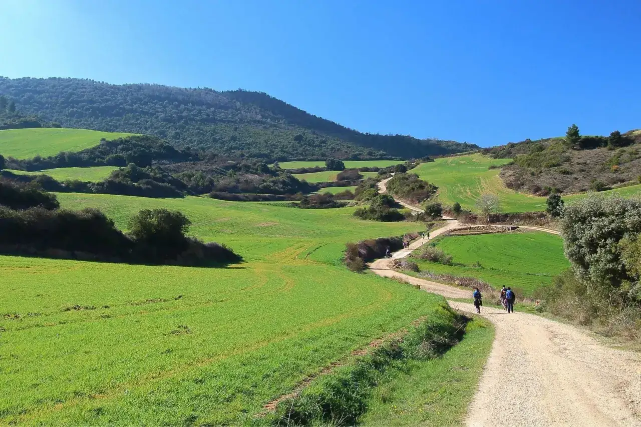 Pielgrzymi na jednej z malowniczych tras Camino de Santiago, wśród zielonych pól i pagórków.