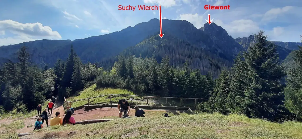 Sarnia skała szlak z doliny Białego prowadzi przez las ku Suchym Wierchom i Giewontowi.