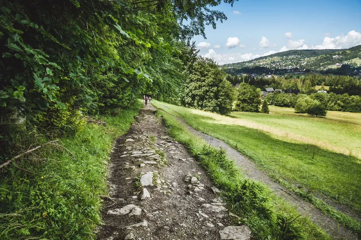 Kamienista ścieżka pod reglami, otoczona zielenią, prowadzi w stronę górskiej miejscowości.