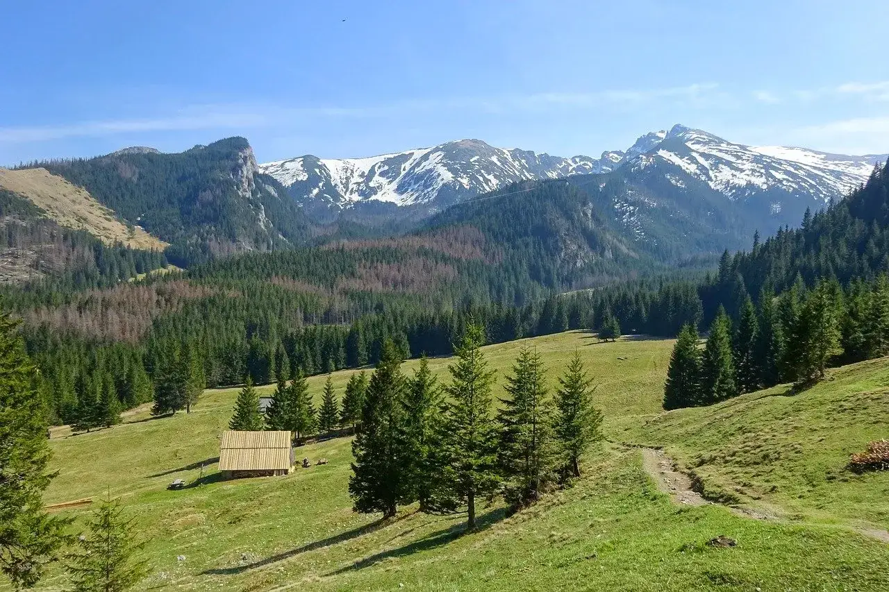 Łagodne zbocza i lasy tworzą idealne szlaki górskie dla początkujących. Drewniana chata i ośnieżone szczyty w tle.