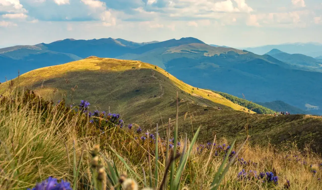 Bieszczady jakie to g&oacute;ry? Łagodne, zielone połoniny oświetlone słońcem, z fioletowymi kwiatami na pierwszym planie i turkusowym niebem.