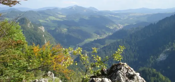 Widok na Pieniny, gdzie można zdobyć Trzy Korony i zobaczyć sokolicę w jeden dzień.
