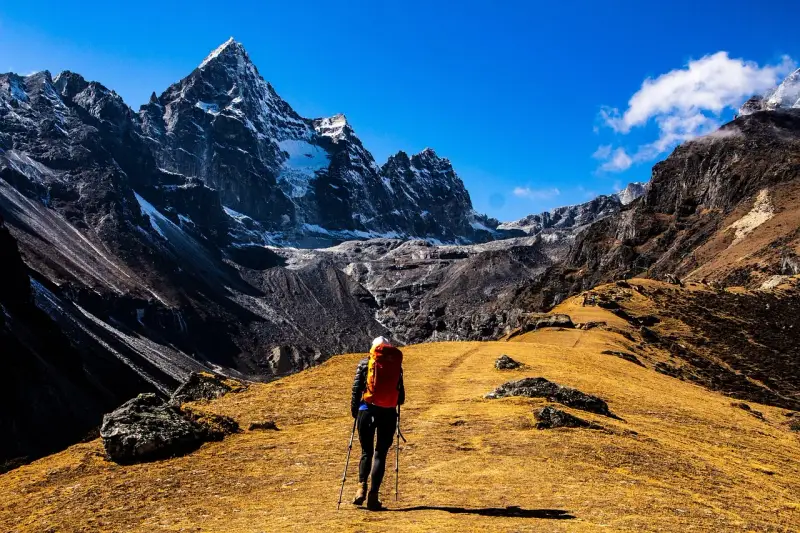 Osoba z plecakiem i kijkami wędruje przez żółtą trawę w kierunku ośnieżonych gór. To jest właśnie co to jest hiking.