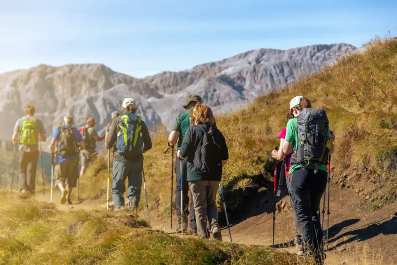 Grupa osób wyruszyła na wędrówkę. Wszyscy mają plecaki i kije do nordic walking, przemierzając górski szlak.